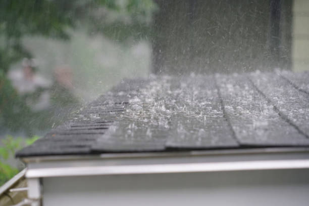 Best Flat Roofing  in Riverwoods, IL